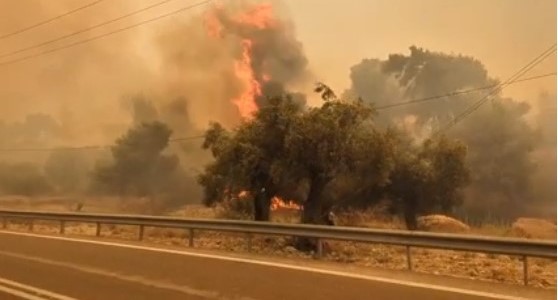 Στον οικισμό Νέα Ζωή Μάνδρας οι φλόγες 